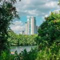 The Ultimate Guide to Local Search Optimization in San Antonio, Texas